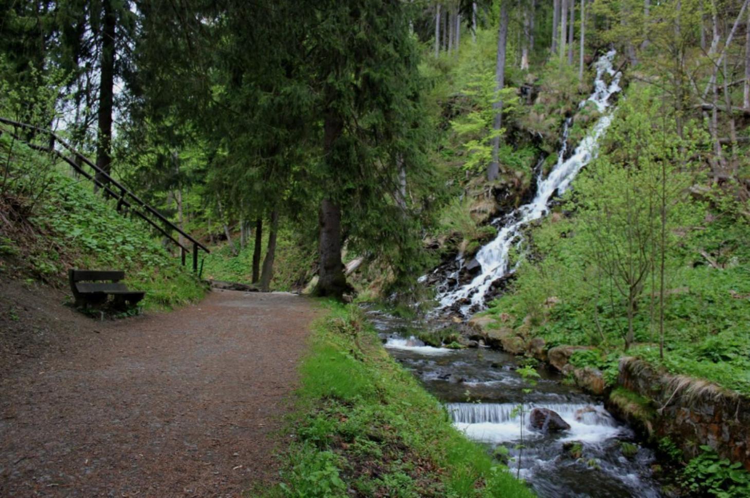 Apartmany New Forest Retreat - U Lesa, S Parkovanim, 300Mbit Internet Jeseník Eksteriør bilde