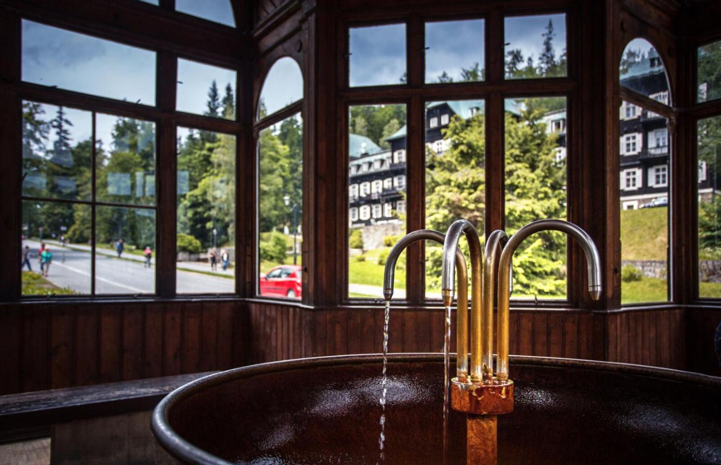 Apartmany New Forest Retreat - U Lesa, S Parkovanim, 300Mbit Internet Jeseník Eksteriør bilde