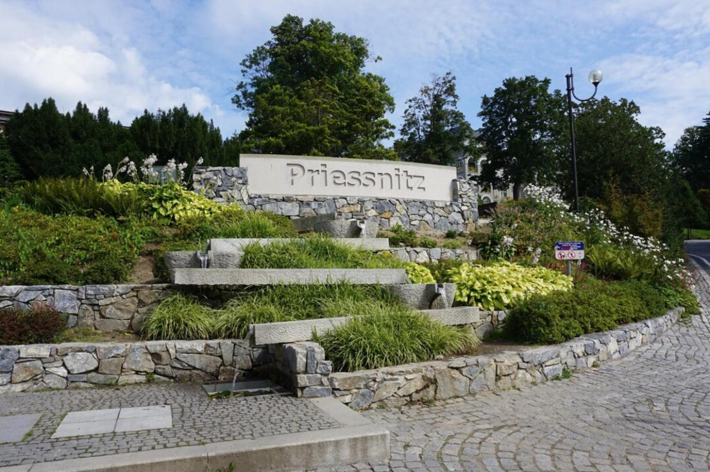 Apartmany New Forest Retreat - U Lesa, S Parkovanim, 300Mbit Internet Jeseník Eksteriør bilde