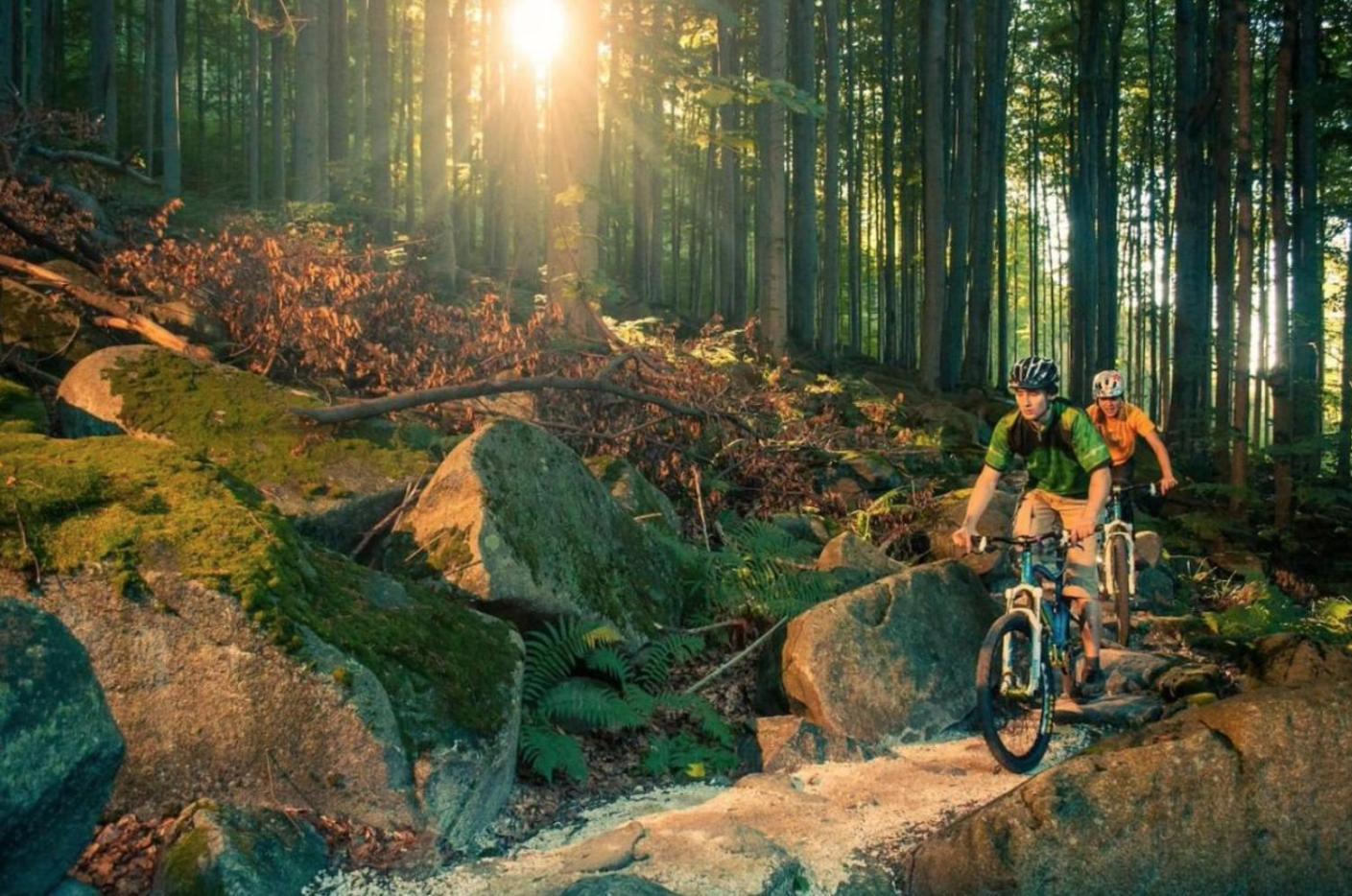 Apartmany New Forest Retreat - U Lesa, S Parkovanim, 300Mbit Internet Jeseník Eksteriør bilde