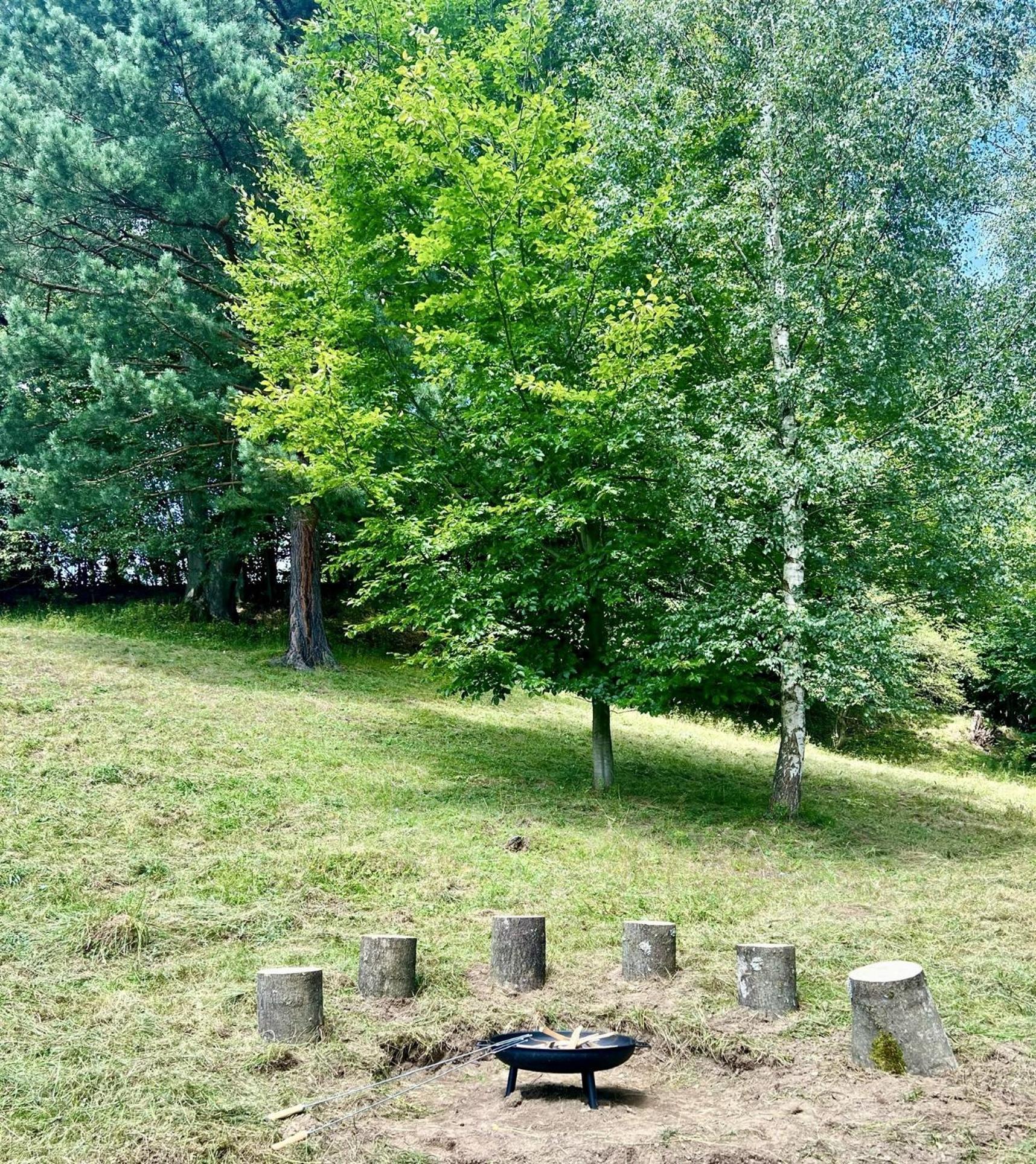 Apartmany New Forest Retreat - U Lesa, S Parkovanim, 300Mbit Internet Jeseník Eksteriør bilde